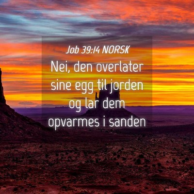 Picture 04 - Job 39:14 NORSK - Nei, den overlater sine egg til jorden og lar dem - Bible Verse Picture