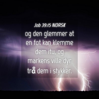 Picture 04 - Job 39:15 NORSK - og den glemmer at en fot kan klemme dem itu, og - Bible Verse Picture