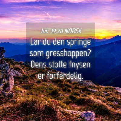 Picture 04 - Job 39:20 NORSK - Lar du den springe som gresshoppen? Dens stolte - Bible Verse Picture