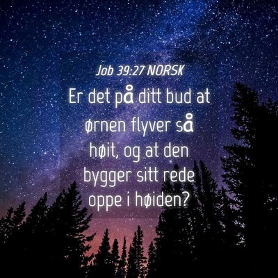 Picture 04 - Job 39:27 NORSK - Er det på ditt bud at ørnen flyver så høit, - Bible Verse Picture