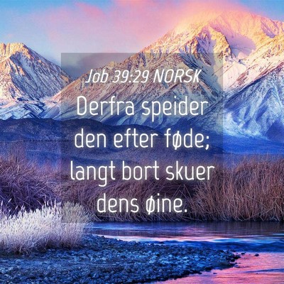 Picture 04 - Job 39:29 NORSK - Derfra speider den efter føde; langt bort skuer - Bible Verse Picture