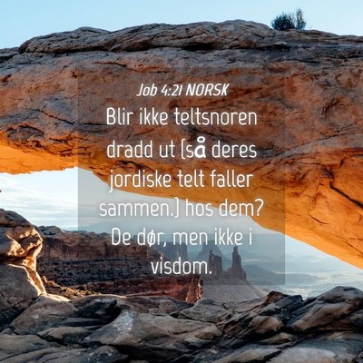 Picture 04 - Job 4:21 NORSK - Blir ikke teltsnoren dradd ut {så deres jordiske - Bible Verse Picture
