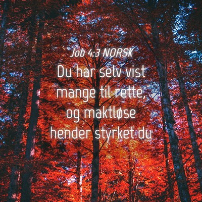 Picture 04 - Job 4:3 NORSK - Du har selv vist mange til rette, og maktløse - Bible Verse Picture