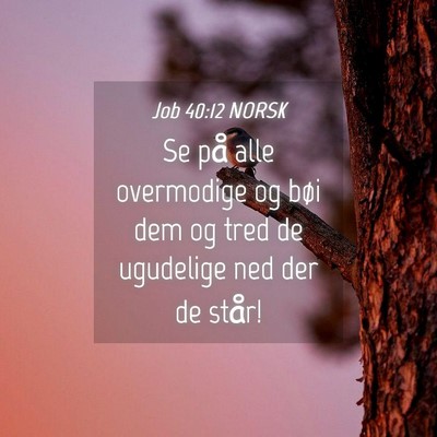 Picture 04 - Job 40:12 NORSK - Se på alle overmodige og bøi dem og tred de - Bible Verse Picture