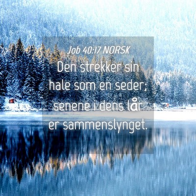 Picture 04 - Job 40:17 NORSK - Den strekker sin hale som en seder; senene i dens - Bible Verse Picture