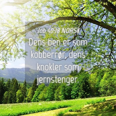 Picture 04 - Job 40:18 NORSK - Dens ben er som kobberrør, dens knokler som - Bible Verse Picture