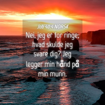 Picture 04 - Job 40:4 NORSK - Nei, jeg er for ringe; hvad skulde jeg svare dig? - Bible Verse Picture
