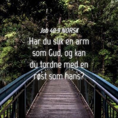 Picture 04 - Job 40:9 NORSK - Har du slik en arm som Gud, og kan du tordne med - Bible Verse Picture