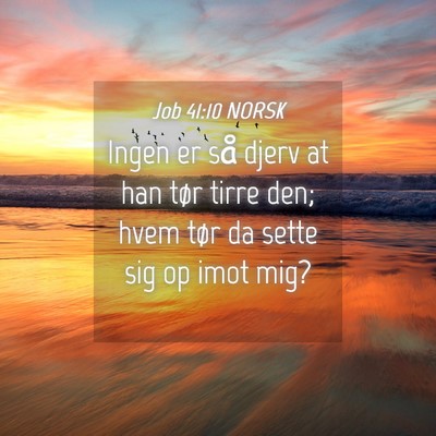 Picture 04 - Job 41:10 NORSK - Ingen er så djerv at han tør tirre den; hvem - Bible Verse Picture