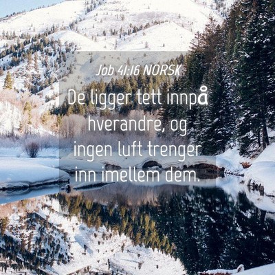 Picture 04 - Job 41:16 NORSK - De ligger tett innpå hverandre, og ingen luft - Bible Verse Picture