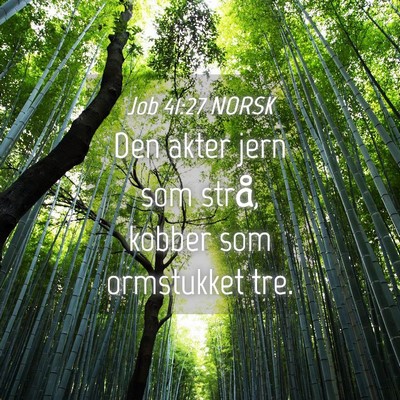Picture 04 - Job 41:27 NORSK - Den akter jern som strå, kobber som ormstukket - Bible Verse Picture