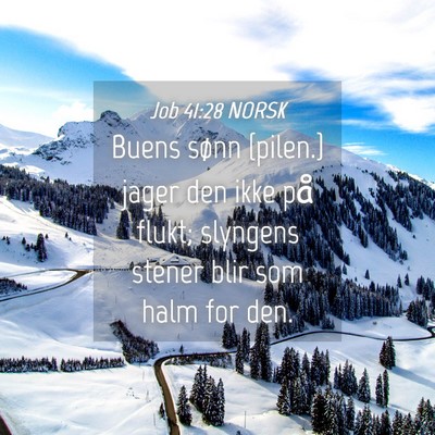 Picture 04 - Job 41:28 NORSK - Buens sønn {pilen.} jager den ikke på flukt; - Bible Verse Picture