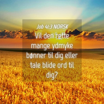 Picture 04 - Job 41:3 NORSK - Vil den rette mange ydmyke bønner til dig eller - Bible Verse Picture