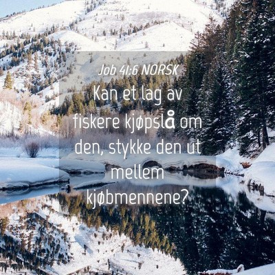 Picture 04 - Job 41:6 NORSK - Kan et lag av fiskere kjøpslå om den, stykke - Bible Verse Picture