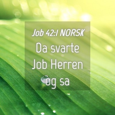 Picture 04 - Job 42:1 NORSK - Da svarte Job Herren og - Bible Verse Picture