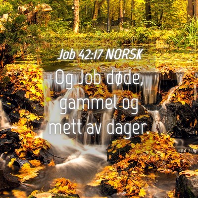 Picture 04 - Job 42:17 NORSK - Og Job døde, gammel og mett av - Bible Verse Picture