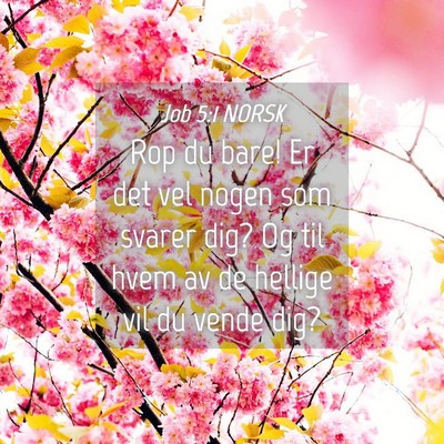 Picture 04 - Job 5:1 NORSK - Rop du bare! Er det vel nogen som svarer dig? Og - Bible Verse Picture