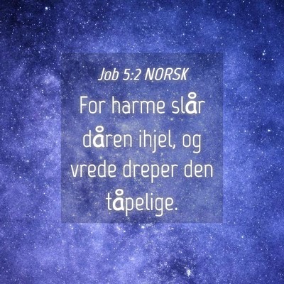 Picture 04 - Job 5:2 NORSK - For harme slår dåren ihjel, og vrede dreper den - Bible Verse Picture