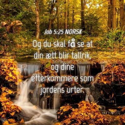 Picture 04 - Job 5:25 NORSK - Og du skal få se at din ætt blir tallrik, og - Bible Verse Picture