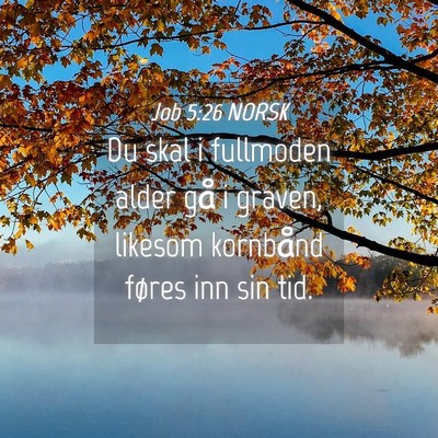 Picture 04 - Job 5:26 NORSK - Du skal i fullmoden alder gå i graven, likesom - Bible Verse Picture