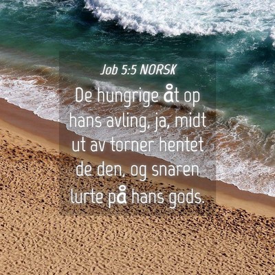 Picture 04 - Job 5:5 NORSK - De hungrige åt op hans avling, ja, midt ut av - Bible Verse Picture