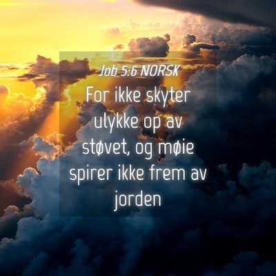 Picture 04 - Job 5:6 NORSK - For ikke skyter ulykke op av støvet, og møie - Bible Verse Picture