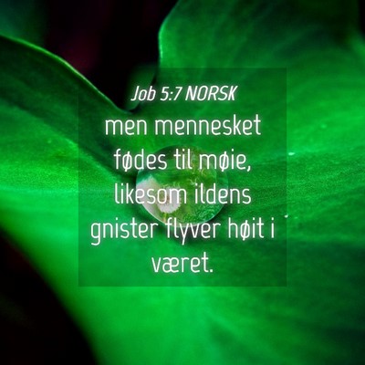 Picture 04 - Job 5:7 NORSK - men mennesket fødes til møie, likesom ildens - Bible Verse Picture