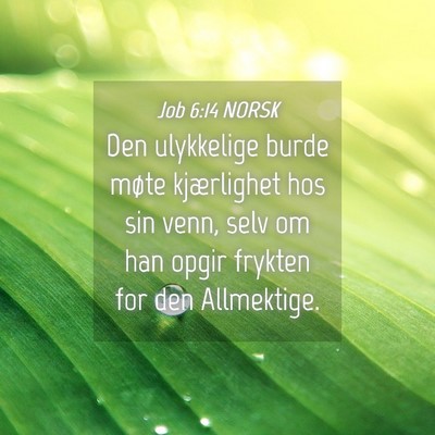 Picture 04 - Job 6:14 NORSK - Den ulykkelige burde møte kjærlighet hos sin - Bible Verse Picture