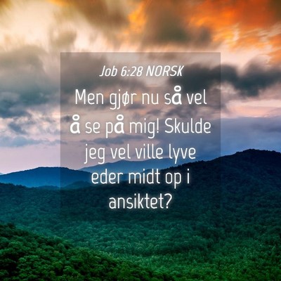 Picture 04 - Job 6:28 NORSK - Men gjør nu så vel å se på mig! Skulde jeg - Bible Verse Picture