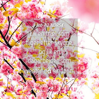 Picture 04 - Job 7:2 NORSK - Lik en træl som higer efter skygge, og lik en - Bible Verse Picture