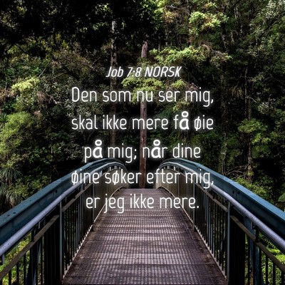 Picture 04 - Job 7:8 NORSK - Den som nu ser mig, skal ikke mere få øie på - Bible Verse Picture
