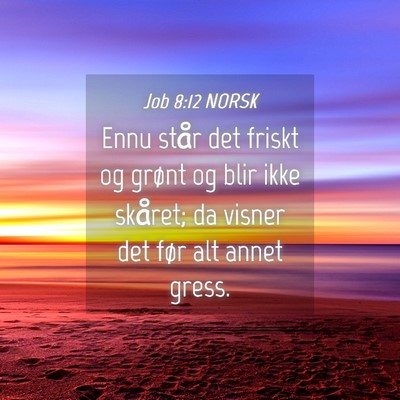 Picture 04 - Job 8:12 NORSK - Ennu står det friskt og grønt og blir ikke - Bible Verse Picture