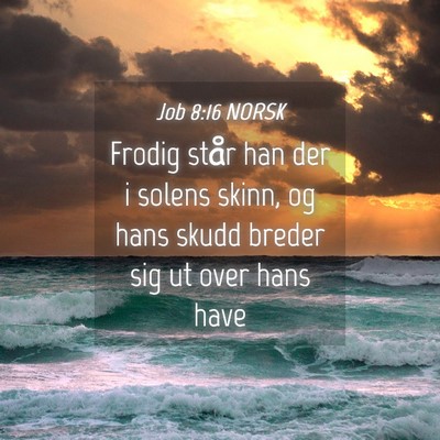 Picture 04 - Job 8:16 NORSK - Frodig står han der i solens skinn, og hans - Bible Verse Picture