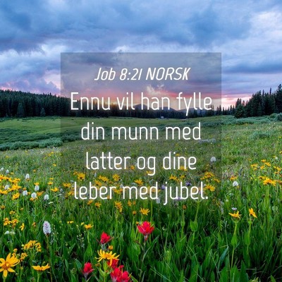 Picture 04 - Job 8:21 NORSK - Ennu vil han fylle din munn med latter og dine - Bible Verse Picture