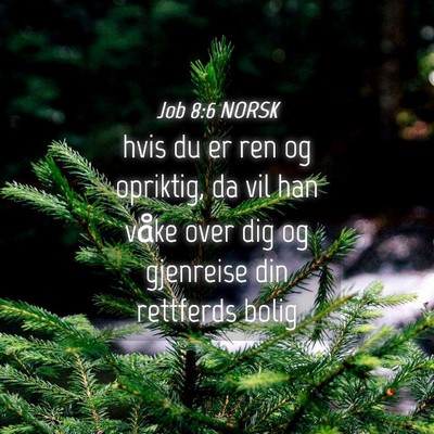 Picture 04 - Job 8:6 NORSK - hvis du er ren og opriktig, da vil han våke over - Bible Verse Picture
