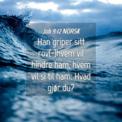 Picture 04 - Job 9:12 NORSK - Han griper sitt rov(-)hvem vil hindre ham, hvem - Bible Verse Picture