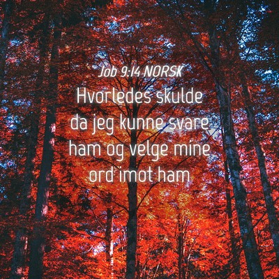 Picture 04 - Job 9:14 NORSK - Hvorledes skulde da jeg kunne svare ham og velge - Bible Verse Picture