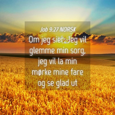 Picture 04 - Job 9:27 NORSK - Om jeg sier: Jeg vil glemme min sorg, jeg vil la - Bible Verse Picture
