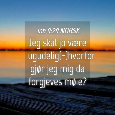 Picture 04 - Job 9:29 NORSK - Jeg skal jo være ugudelig(-)hvorfor gjør jeg - Bible Verse Picture