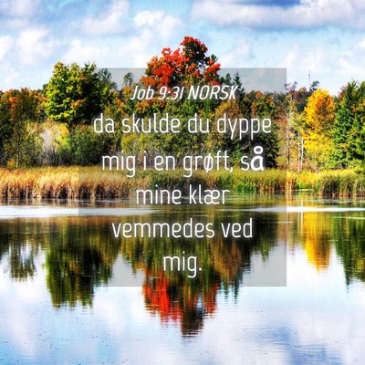 Picture 04 - Job 9:31 NORSK - da skulde du dyppe mig i en grøft, så mine - Bible Verse Picture