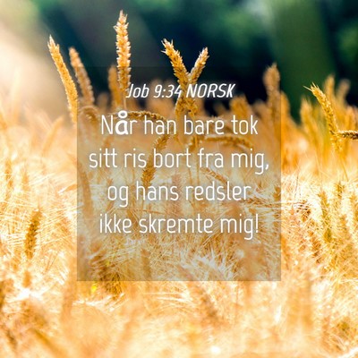 Picture 04 - Job 9:34 NORSK - Når han bare tok sitt ris bort fra mig, og hans - Bible Verse Picture