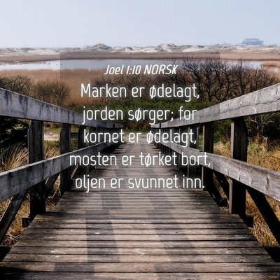 Picture 04 - Joel 1:10 NORSK - Marken er ødelagt, jorden sørger; for kornet er - Bible Verse Picture
