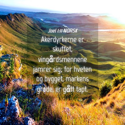 Picture 04 - Joel 1:11 NORSK - Akerdyrkerne er skuffet, vingårdsmennene jamrer - Bible Verse Picture