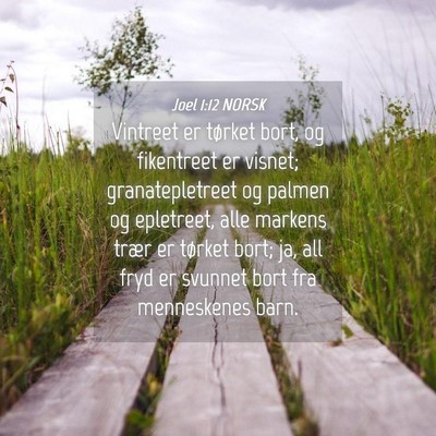 Picture 04 - Joel 1:12 NORSK - Vintreet er tørket bort, og fikentreet er - Bible Verse Picture