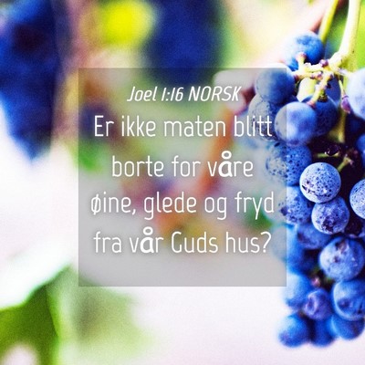 Picture 04 - Joel 1:16 NORSK - Er ikke maten blitt borte for våre øine, glede - Bible Verse Picture