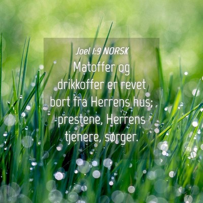 Picture 04 - Joel 1:9 NORSK - Matoffer og drikkoffer er revet bort fra Herrens - Bible Verse Picture