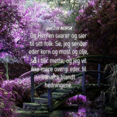 Picture 04 - Joel 2:19 NORSK - Og Herren svarer og sier til sitt folk: Se, jeg - Bible Verse Picture