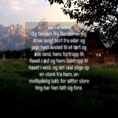 Picture 04 - Joel 2:20 NORSK - Og fienden fra Norden vil jeg drive langt bort - Bible Verse Picture