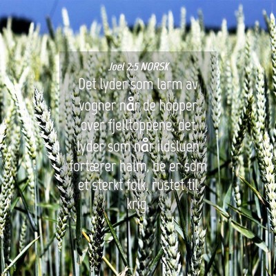 Picture 04 - Joel 2:5 NORSK - Det lyder som larm av vogner når de hopper over - Bible Verse Picture