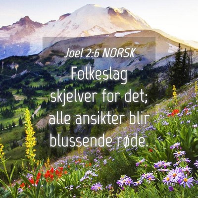 Picture 04 - Joel 2:6 NORSK - Folkeslag skjelver for det; alle ansikter blir - Bible Verse Picture